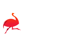 Smart Codes Ltd